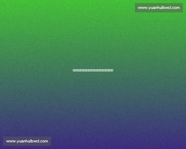 安德森:中国德迷群体有限,南斯拉夫教练在欧洲难获认可 安德森:中国德迷群体有限,南斯拉夫教练在欧洲难获认可