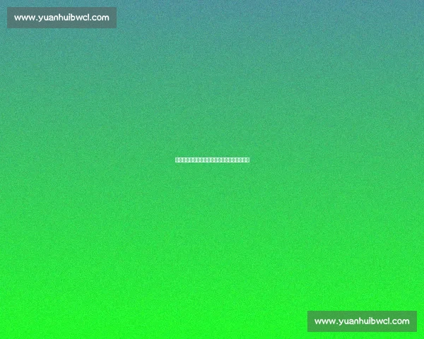 戈米反击梅内斯:足球的肤色是胜利,而非分裂 戈米反击梅内斯:足球的肤色是胜利,而非分裂