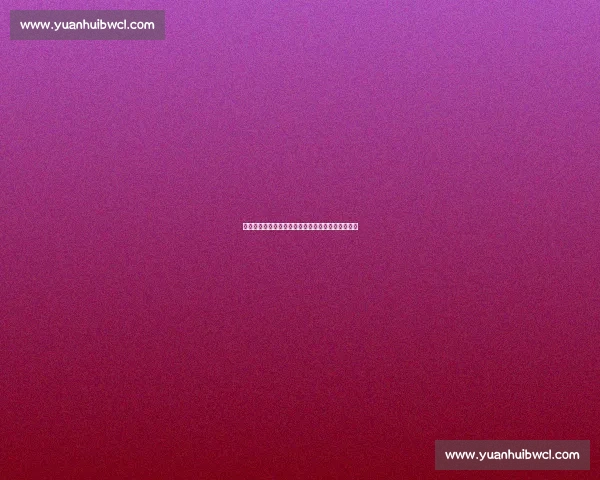 李磊转会风云：两球队竞逐，河南明确否认参与谈判