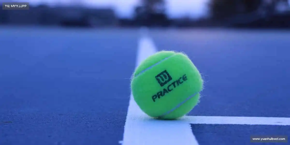 为什么选择我们